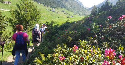 La Fundació Crèdit Andorrà organitza una ruta de senderisme guiada