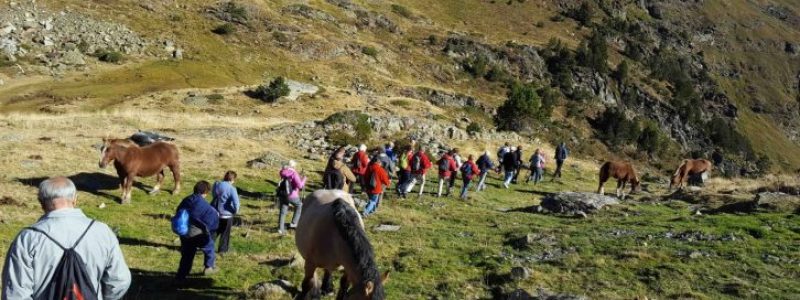 Rutes de senderisme guiades – La Vall del Riu