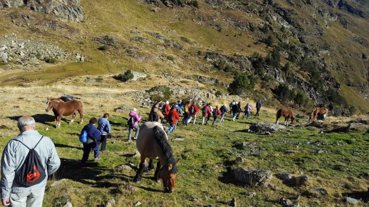 Rutes de senderisme guiades – La Vall del Riu