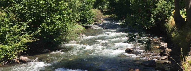 Els arbres d’Andorra