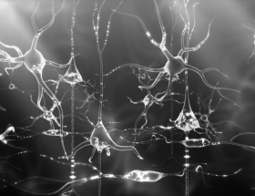 Trastorns mentals i consum de drogues en adolescents: què ens cal saber?