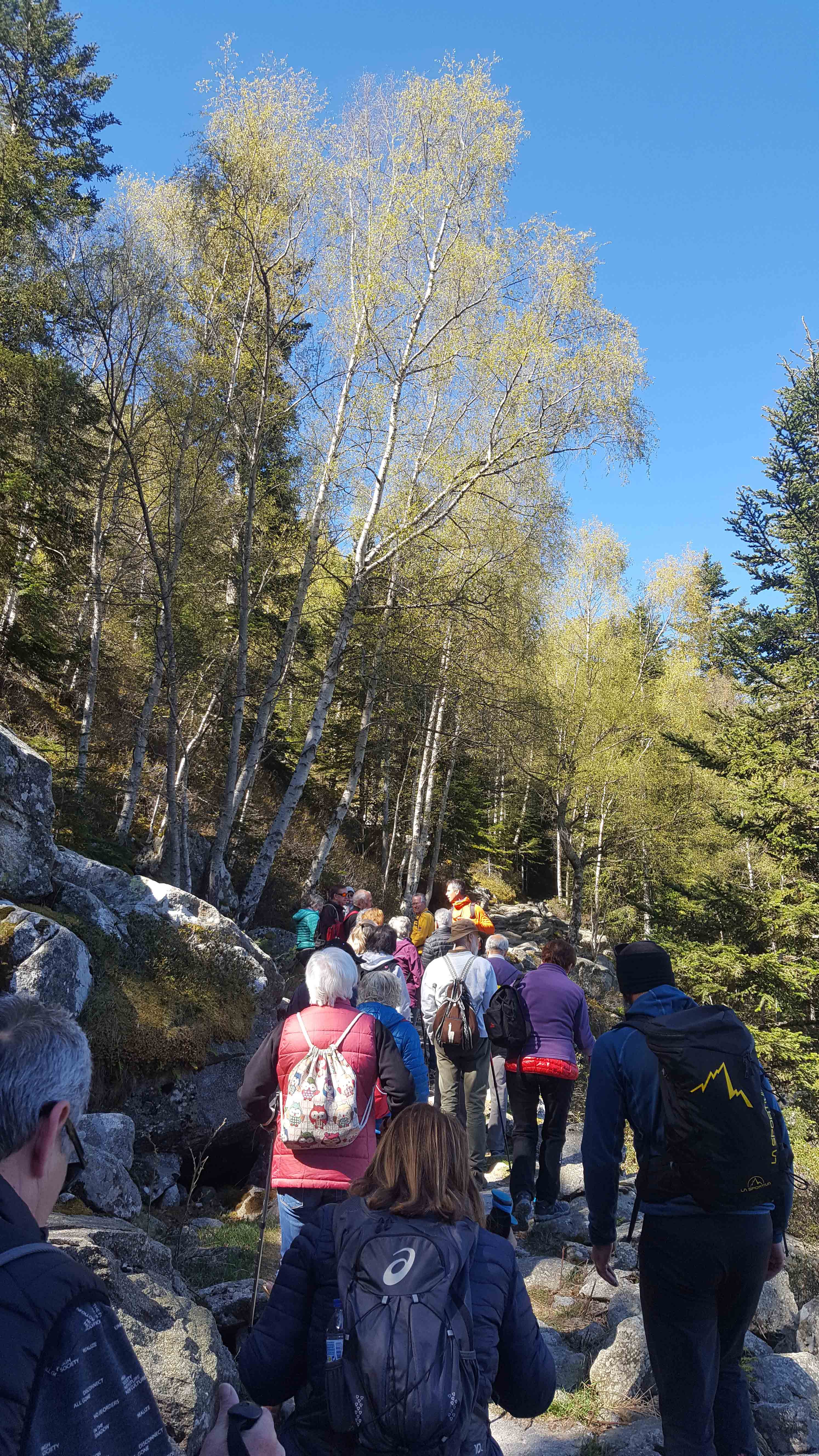 Posposat - Parc Natural Comunal de les Valls del Comapedrosa 1 Posposat – Parc Natural Comunal de les Valls del Comapedrosa