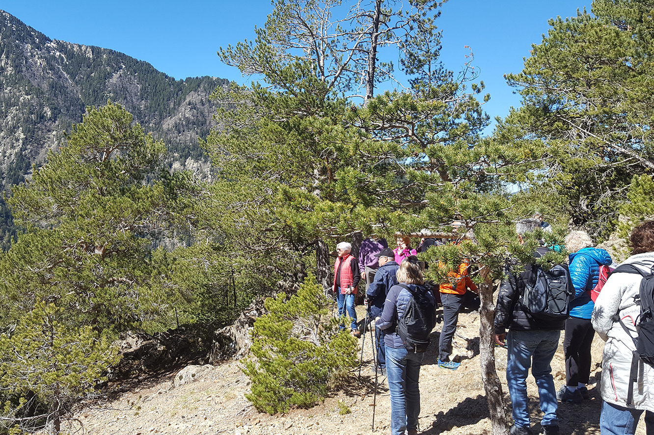 La Fundació Crèdit Andorrà organitza dues visites guiades per als usuaris de L’espai