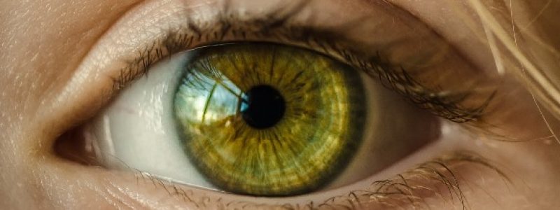 Com tenir cura de la visió