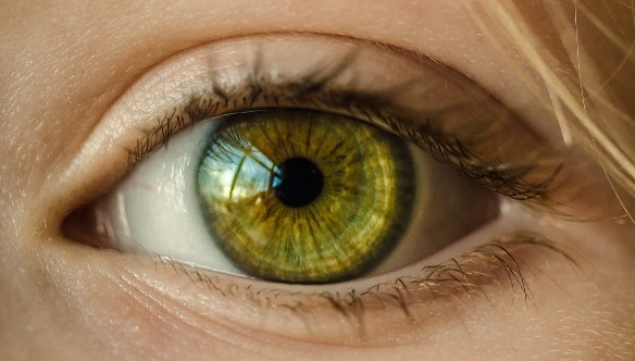 Com tenir cura de la visió 1 Com tenir cura de la visió