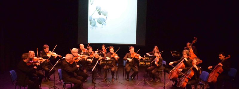 ONCA – Cicle Paisatges: Les valls del Comapedrosa. Els paisatges sonors del clavecí de Bach i Gerhard