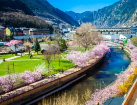 Posposat – El Jardí de les Roques