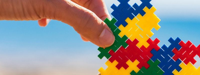 Seminaris: Alteracions de conducta en persones amb Autisme. Comprensió i estratègies d’intervenció