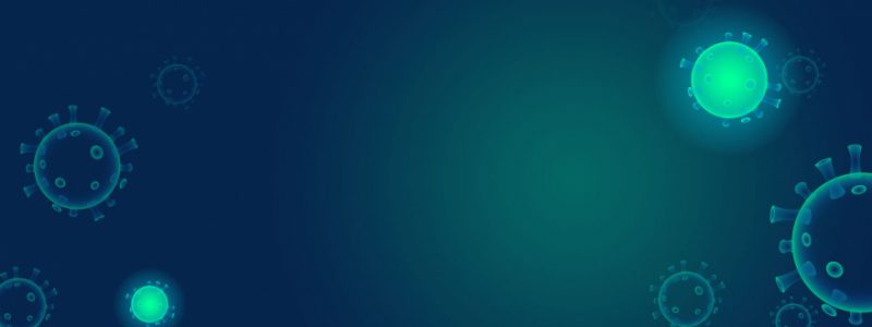 Seminari: Programa de rehabilitació post-Covid i Covid-persistent. Perquè no tot és sobreviure al virus (CPP 2021)