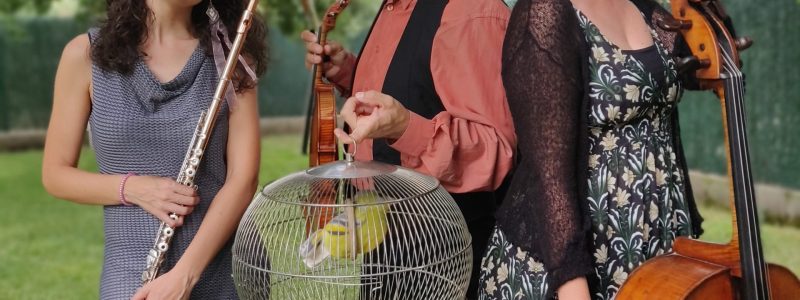 Concert familiar · El conte de la flauta màgica