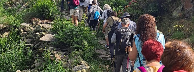 Ruta de senderisme · Camí de prats