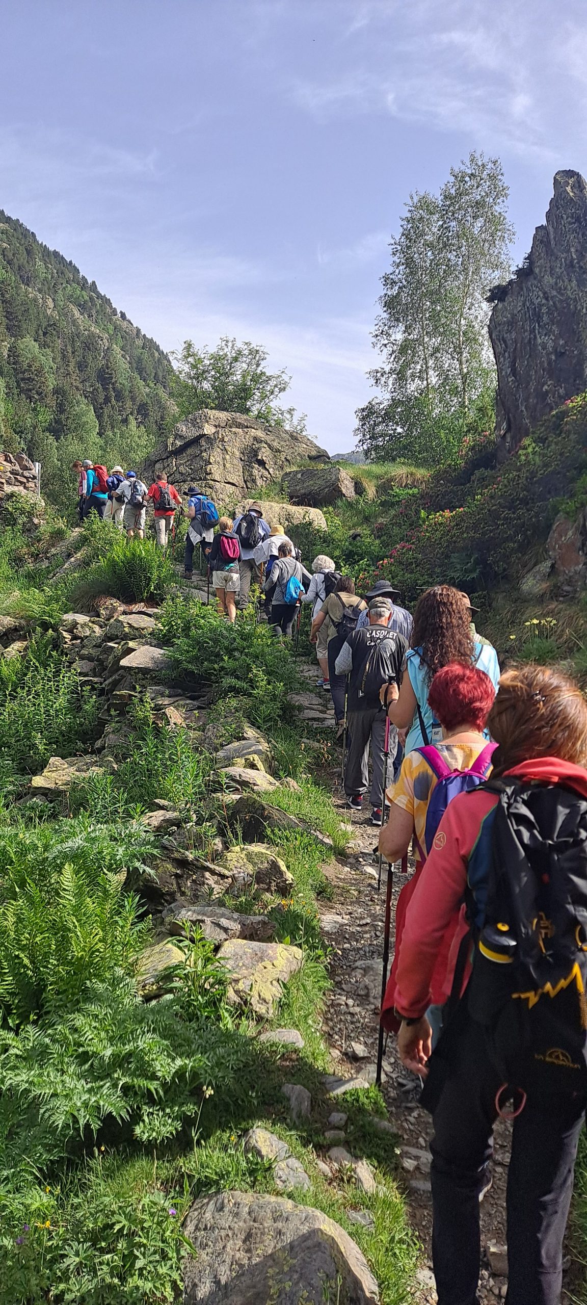Ruta de senderisme · Camí de prats