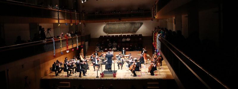 Ordino Clàssic · Passions Vieneses