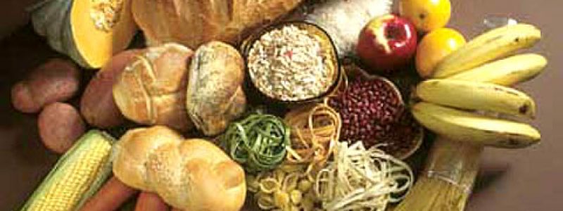 Alimentació i digestió