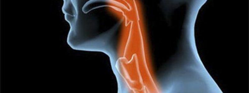 Curs teòric-pràctic en disfàgia orofaríngia de nivell avançat. Estratègies terapèutiques.