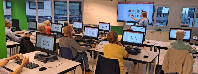 Taller virtual d’estimulació de la memòria mitjançant la informàtica